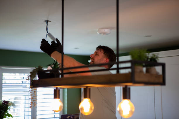Best Electric Panel Repair  in Somerset, NJ